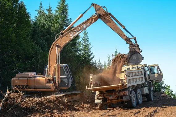 Casino Bonkers Bet Support